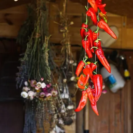 El Encinarejo Lodge Andujar